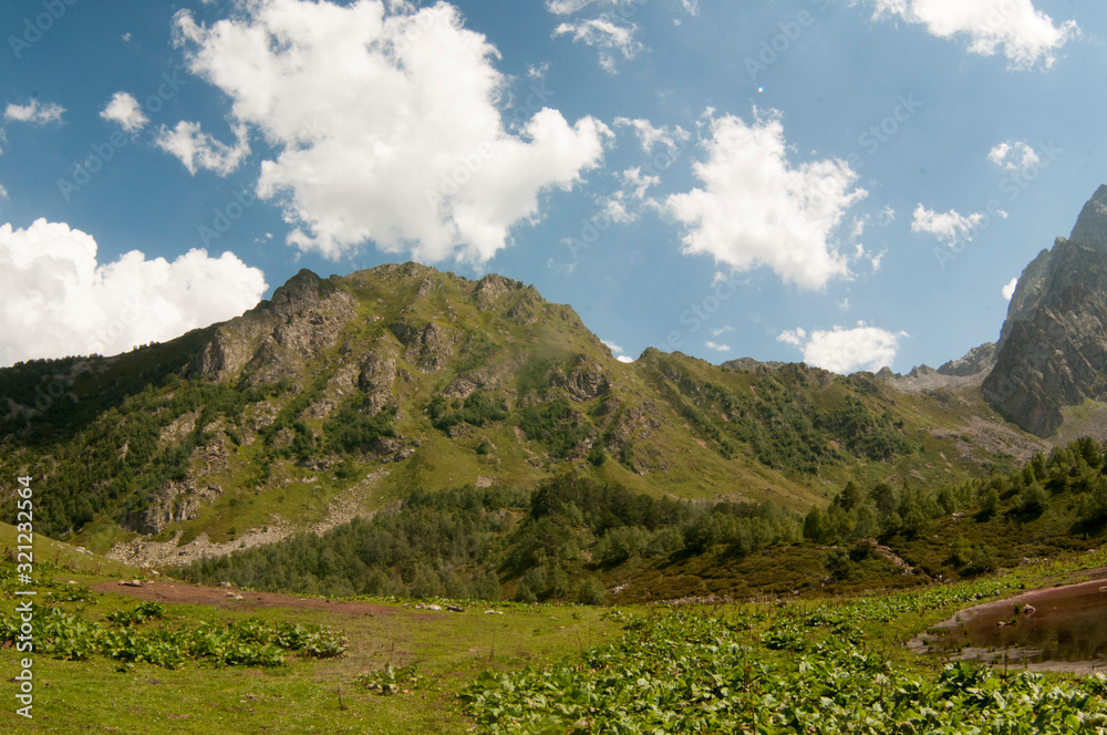 Naklejka premium This is sunny valley in Caucasus mountains in summer