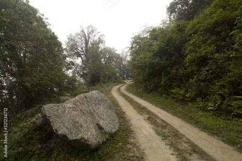 Road to Lama camp in Eaglesnest wildlife sanctuary, Arunachal Pradesh photo