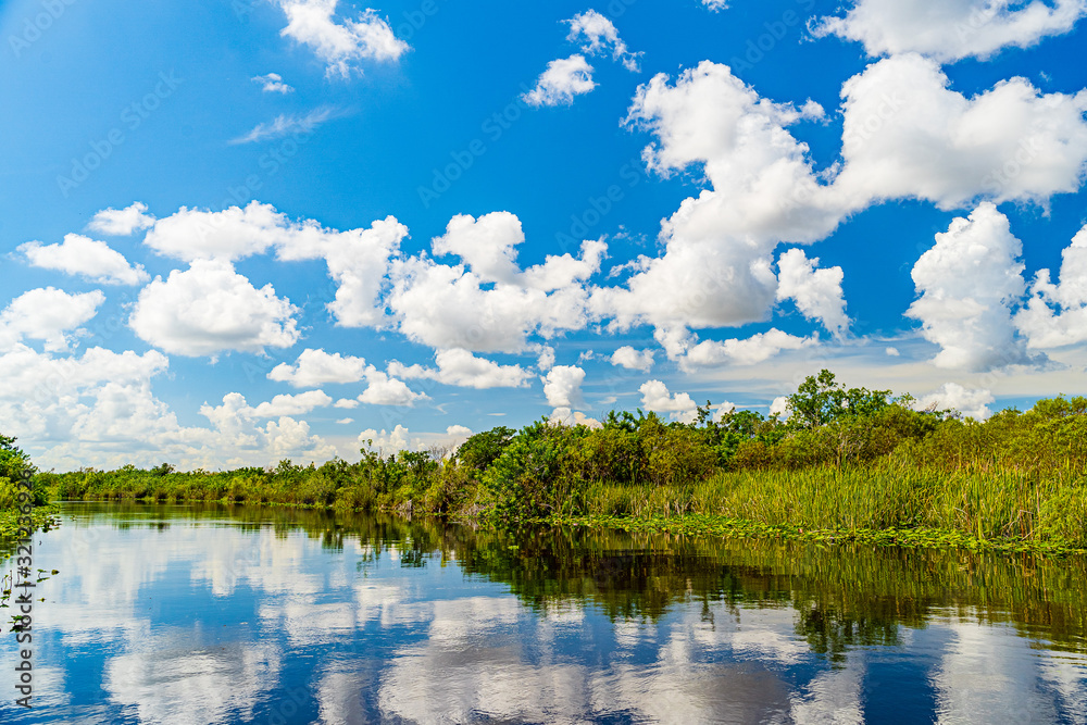 Obraz premium Everglades wetland in Florida, Everglades and Francis S. Taylor Wildlife Management Area
