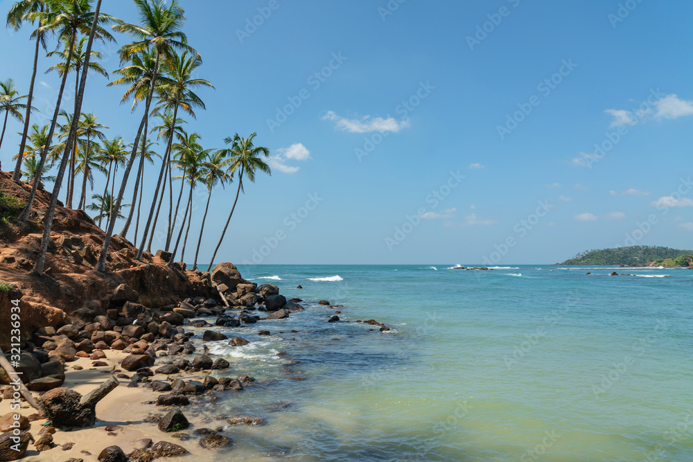 Mirissa coconut beach with palm trees and blue water, Sri Lanka