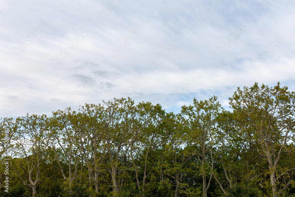 Blue sky over the Memorial in the Treptower Park in Berlin