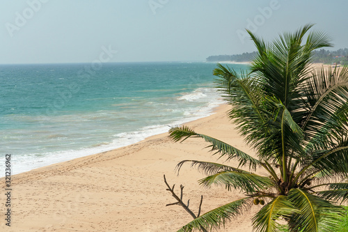 Fototapeta Naklejka Na Ścianę i Meble -  Tropical ocean sand beach with palm tree, Sri Lanka