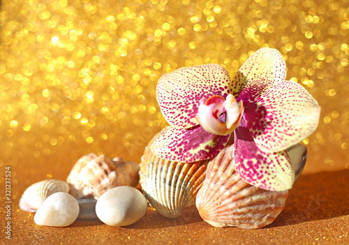 Orchid flower, shells, pebbles on a yellow abstract background. Unfocused background. Yellow orchid Golden background