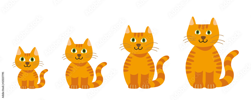 Isolated Vector graphic illustration of a cute smiling orange cartoon cat with green eyes growing up including a set of different ages Isolated Vector graphic illustration of a cute smiling orange cartoon cat with green eyes growing up including a set of different ages