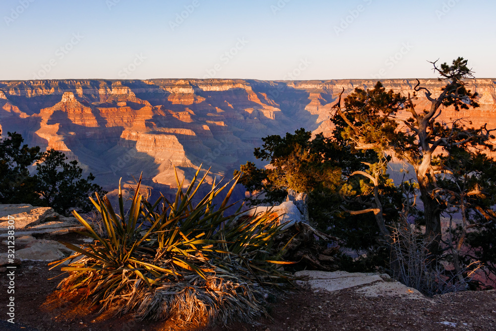 Grand Canyon in sunset sky