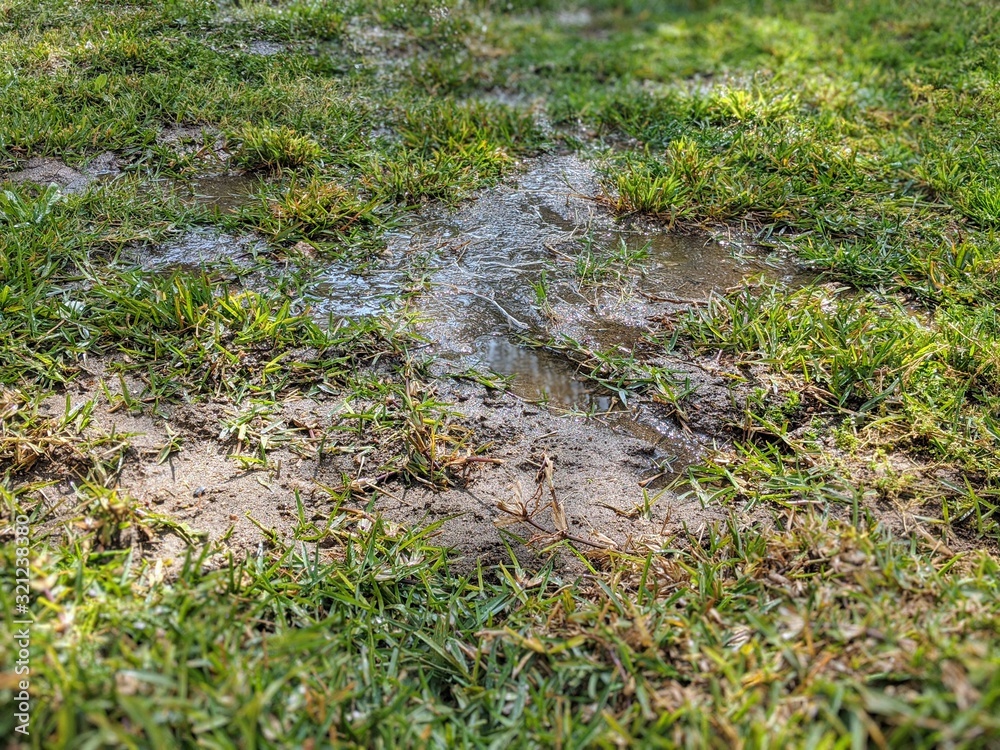 muddy puddles in grassy yard