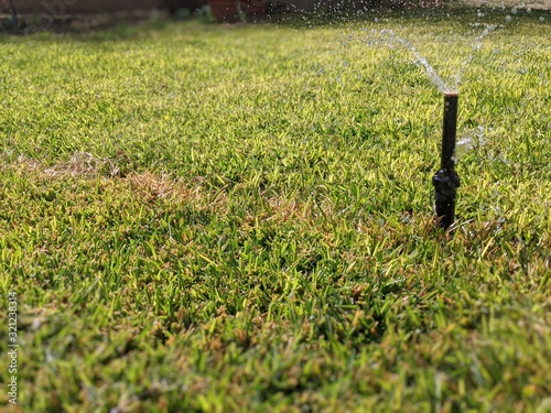 Sprinkler on crabgrass