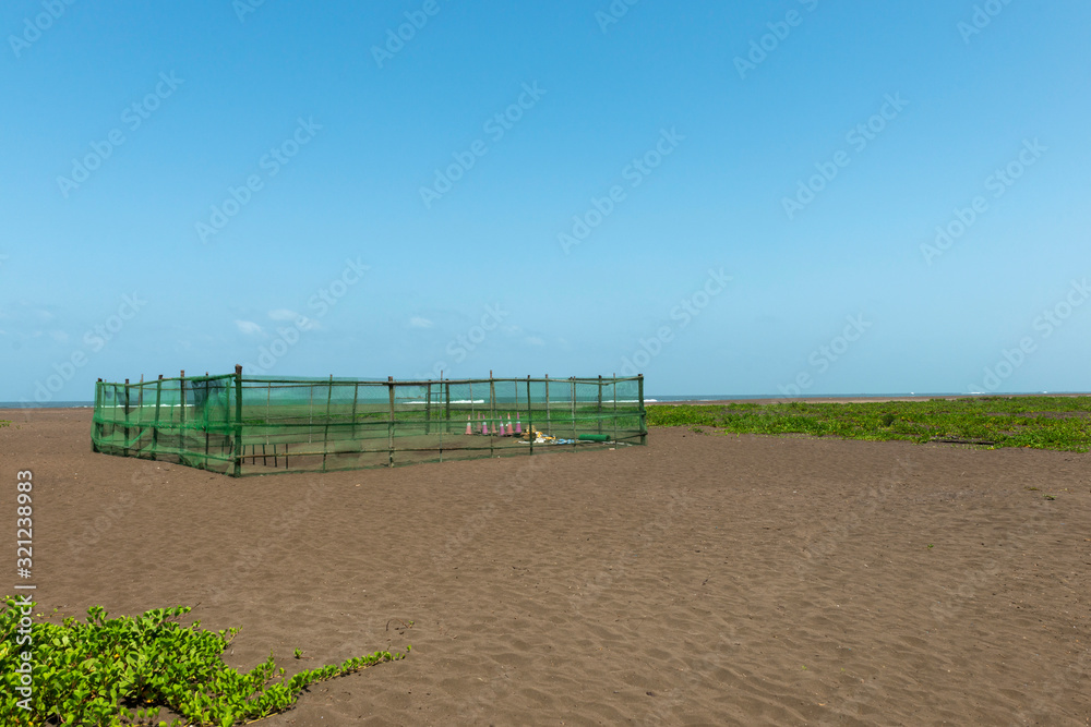 Turtle Hatching Point, Velas, Raigad, Maharashtra, India Turtle Hatching Point, Velas, Raigad, Maharashtra, India