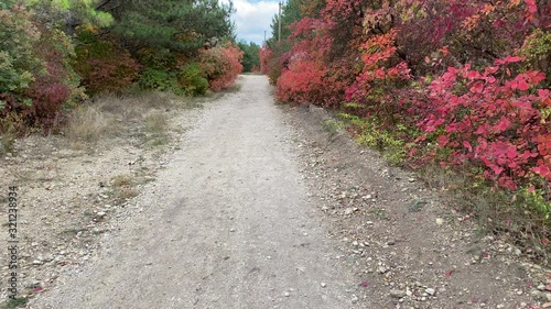 POV walk on hill trail through the forest in autumn.