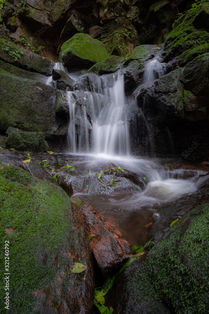 waterfall in the forest