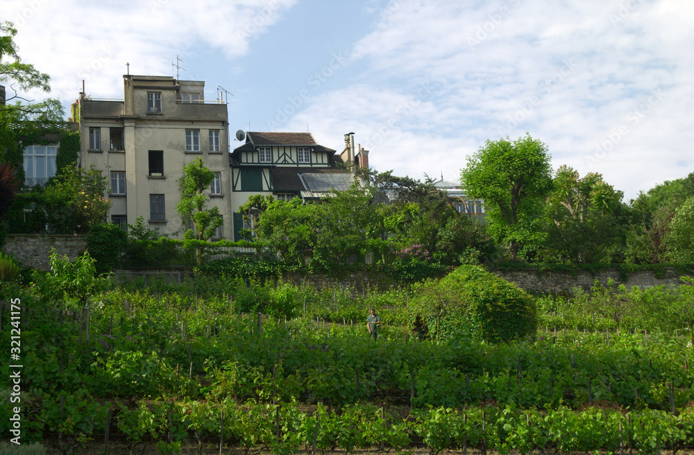 paris montmartre paris montmartre