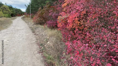 POV walk on hill trail through the forest in autumn.