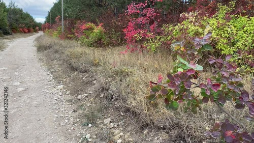 POV walk on hill trail through the forest in autumn.