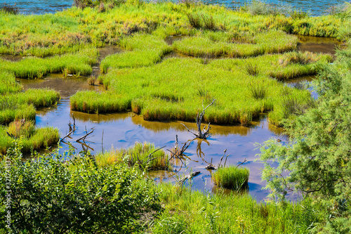 Nature around historic site Butrint in Albania photo