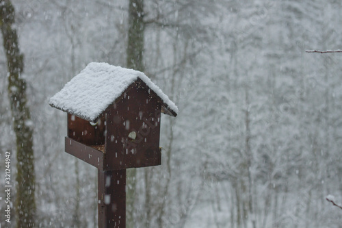 birdhouse in winter