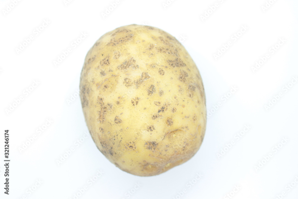 Potato tuber perched on a white background Potato tuber perched on a white background