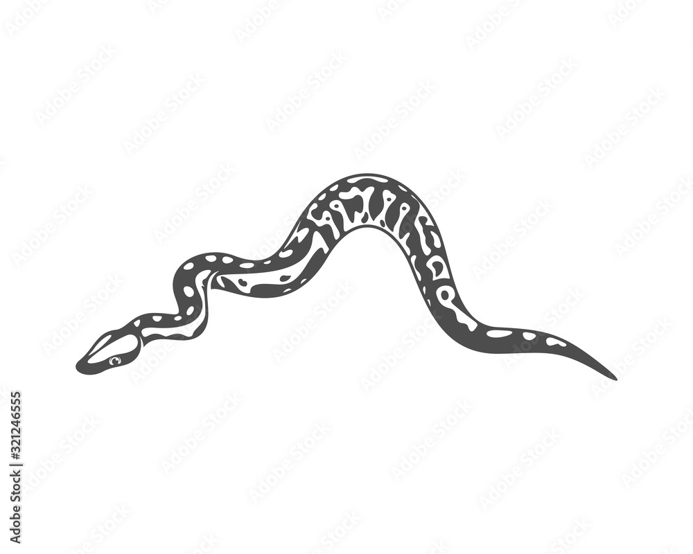 Python snake logo vector, Animal graphic, Snake design Template illustration