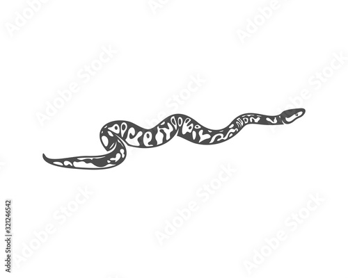 Python snake logo vector, Animal graphic, Snake design Template illustration