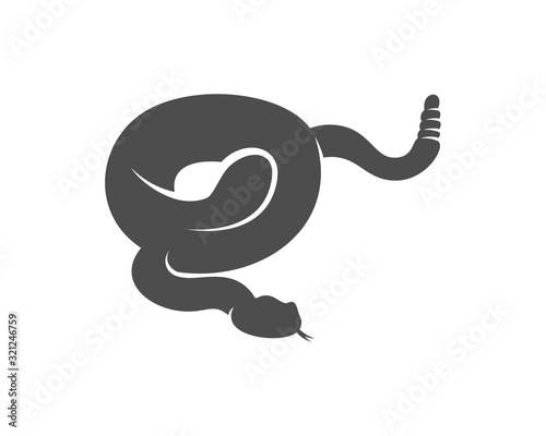 Viper snake logo design vector, Animal graphic, Snake design Template illustration