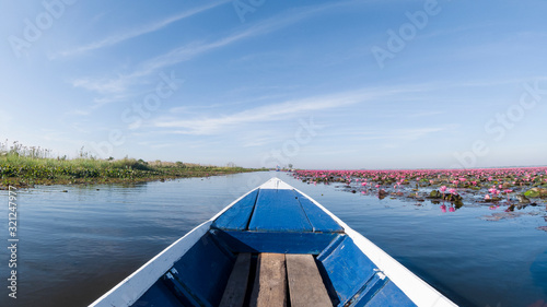 red lotus flower bloom in lake unseen travel by boat udonthani thailand © tradol
