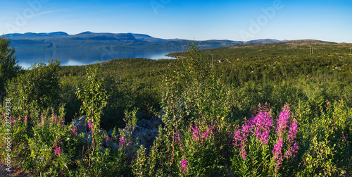 Summer landscape with green medow and pond, forest and village on horizon near Sangis in Kalix Municipality, Norrbotten, Sweden. Swedish landscape in summertime. photo