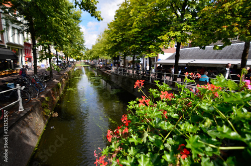 Delft, the netherlands, august 2019. The pretty and romantic canals. The aquatic plants create a green carpet, the bridges frame the flower boxes in warm and bright colors. 