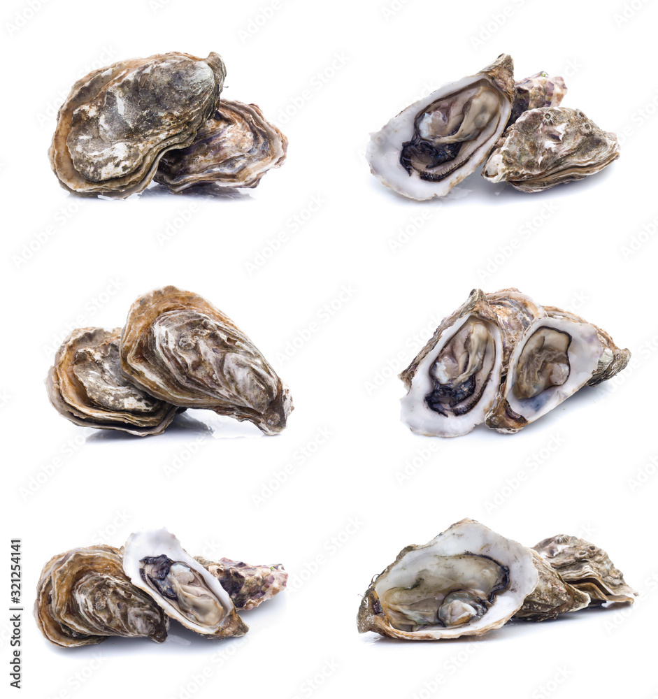 set of Fresh oyster set of Fresh oyster