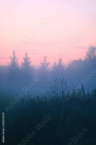 Evening mist on a field in countryside at summer.