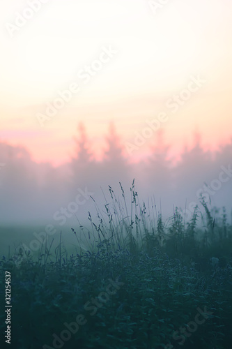 Evening mist on a field in countryside at summer.