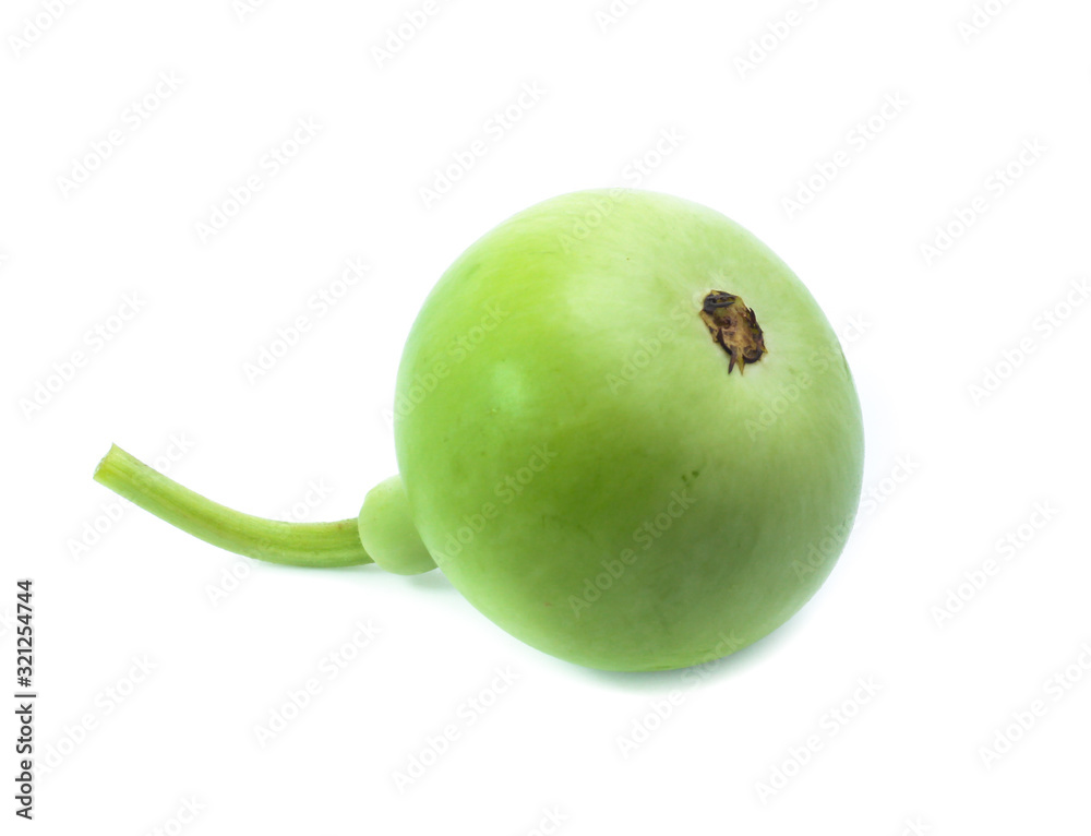 bottle gourds isolated on white background bottle gourds isolated on white background