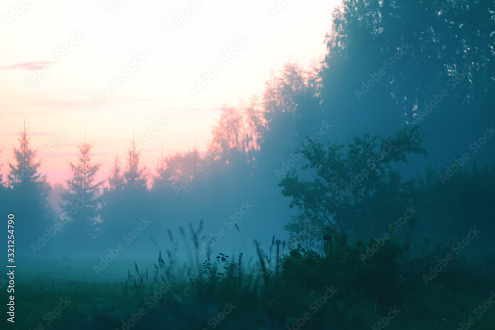 Evening mist on a field in countryside at summer. Evening mist on a field in countryside at summer.