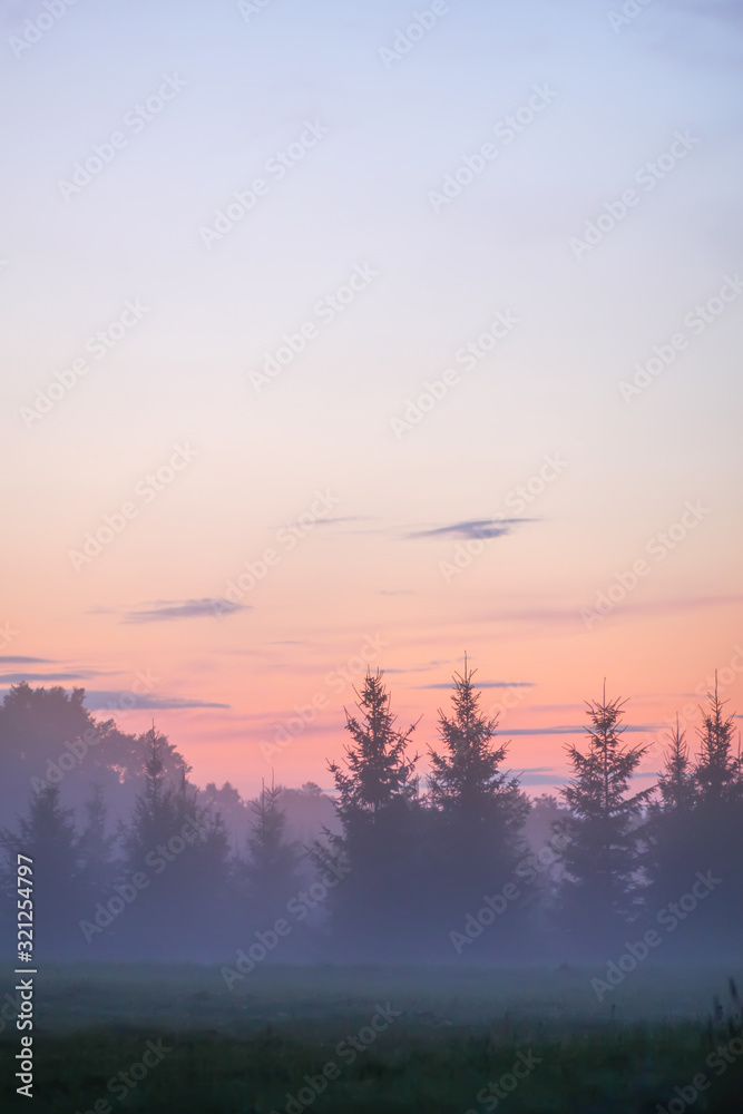 Evening mist on a field in countryside at summer. Evening mist on a field in countryside at summer.