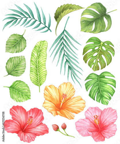Red  pink  yellow hibiscus and tropical leaves watercolor isolated on white background.  Monstera  Coconut leaf  Banana leaf  Hand drawn nature illustration.