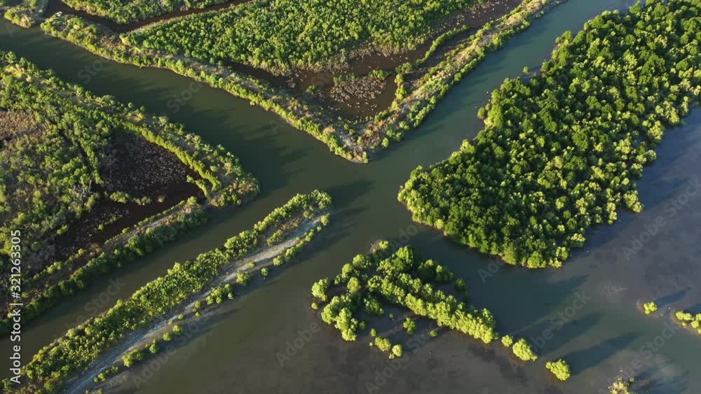 Les mangroves à proximité de Kampot, au Cambodge