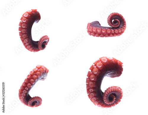 tentacles of octopus isolated on white background (set  mix   collection). photo
