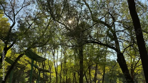 POV walking on footpath in sunny autumn park. Sun shining through tree branches
