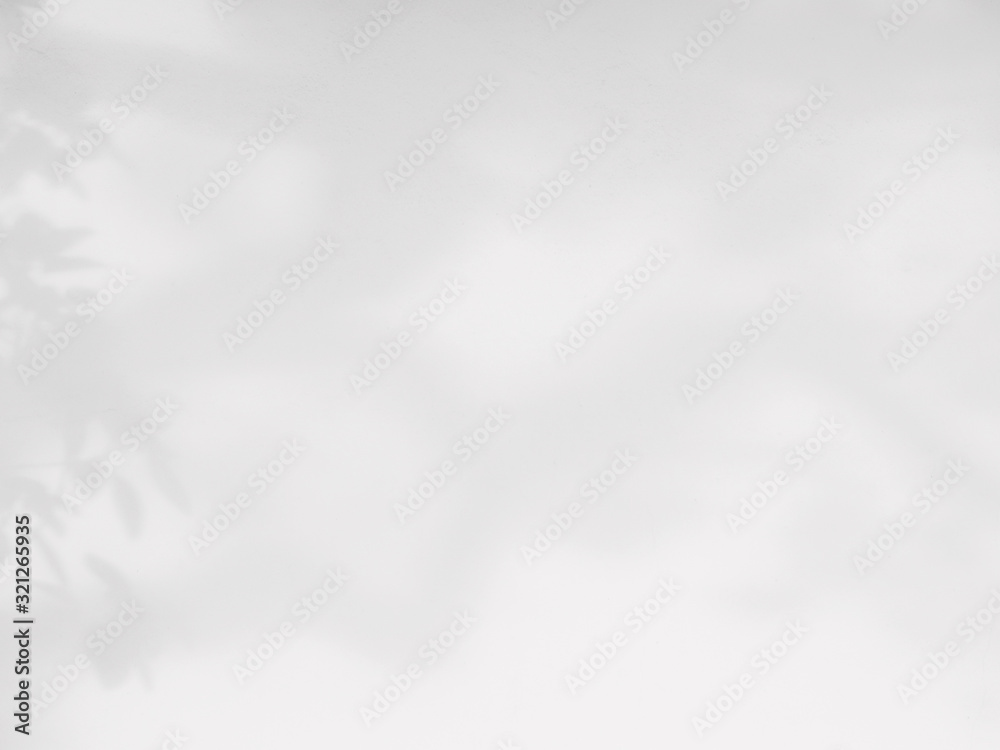 Obraz premium abstract shadow of the leaves on a white wall background