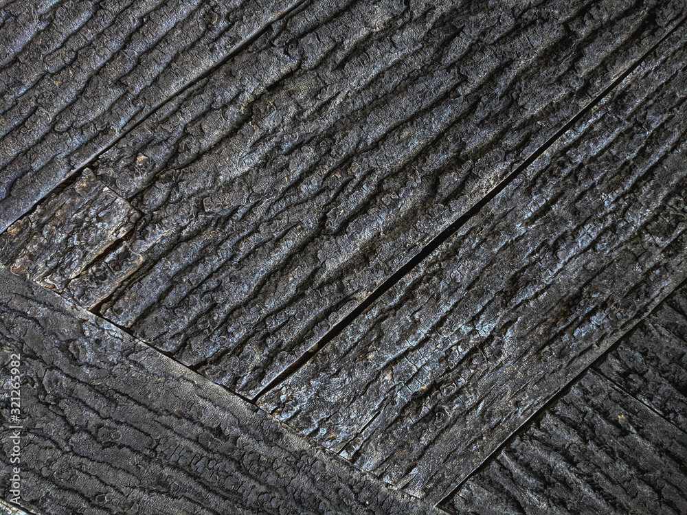 Atmospheric texture of natural wood bark Atmospheric texture of natural wood bark