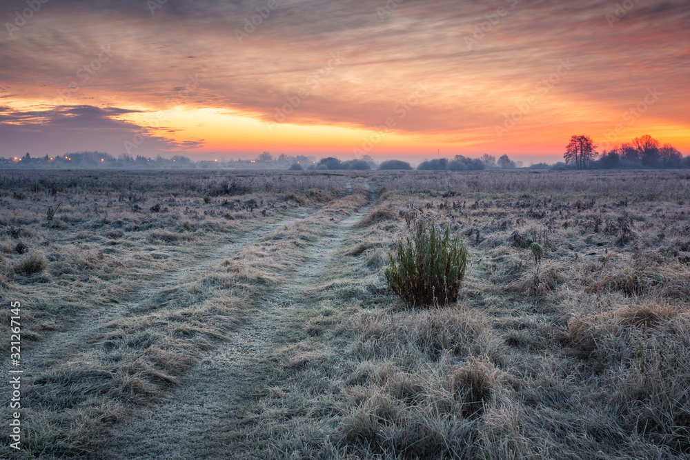 Road during a frosty morning in Oborskie Meadows, Konstancin Jeziorna, Poland