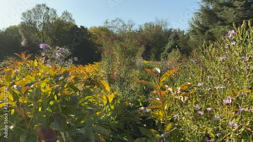 POV walking on footpath in sunny autumn park in the morning.