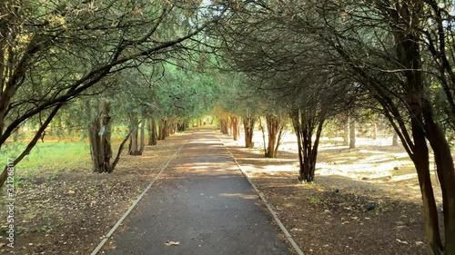 POV walking on footpath in sunny autumn park in the morning.