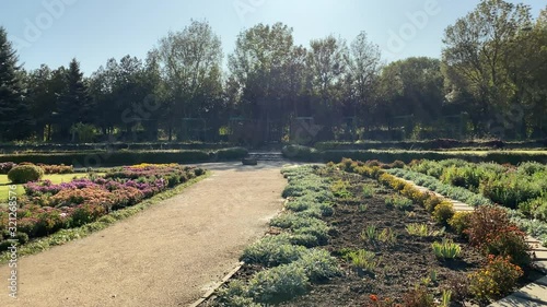 POV walking on footpath in sunny autumn park in the morning.