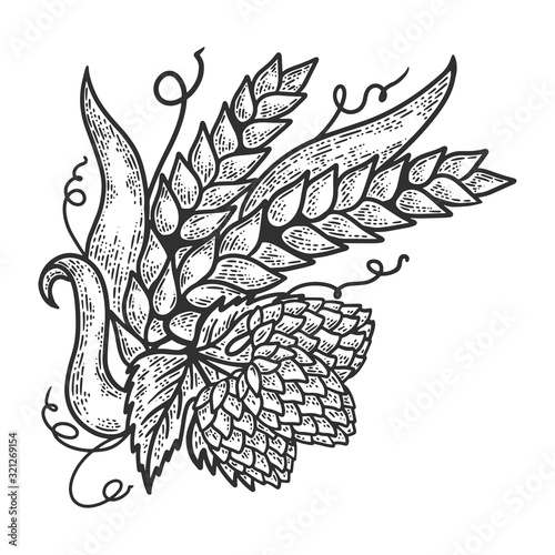 Hops and barley plant engraving sketch vector illustration. Scratch board style imitation. Black and white hand drawn image.