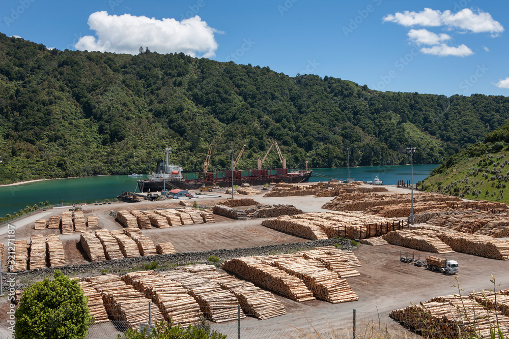 Harbour Picton. Logging. Woodexport. New Zealand