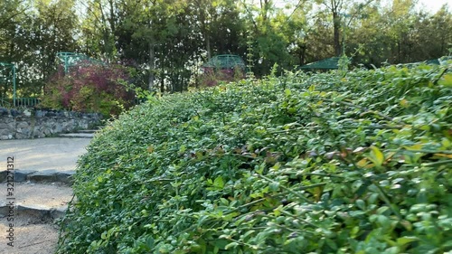 POV walking on footpath in sunny autumn park in the morning.