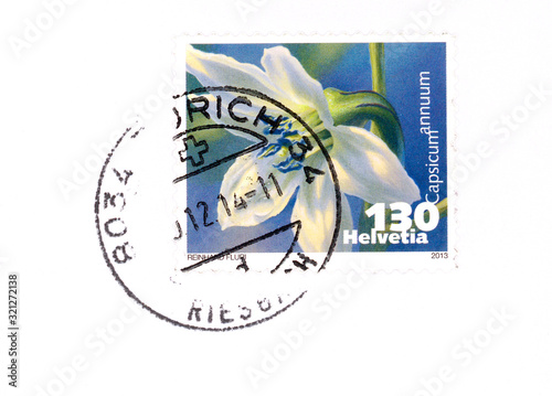 Briefmarke stamp Helvetia Schweiz Blume flower weiss white Spanischer Pfeffer Zwergchili 130 Plant 2014 photo