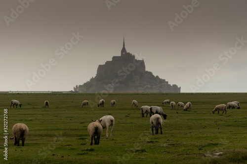 Mont Saint Michel with big group of sheap during summer time in France.