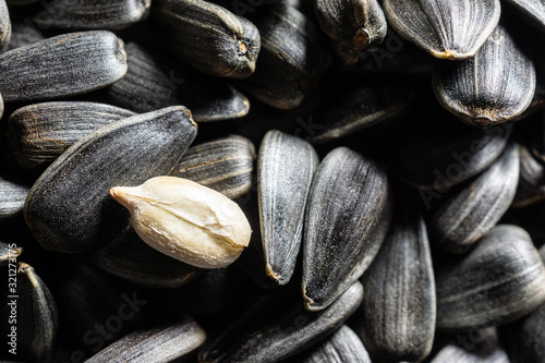 Obraz na plátně texture of sunflower seeds