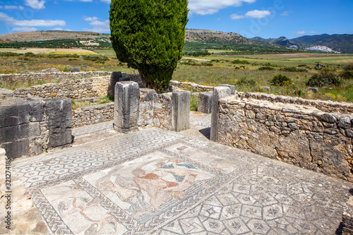 Mosaics in the house of Orpheus. Volubilis. Morocco photo