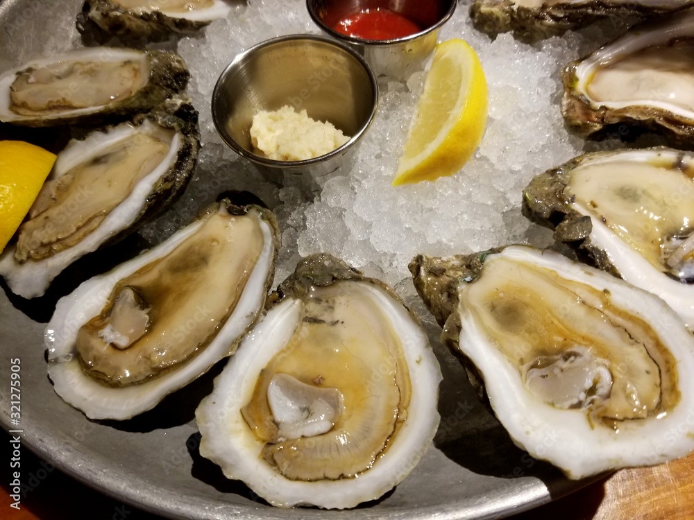 A plate of fresh and raw oysters on ice A plate of fresh and raw oysters on ice